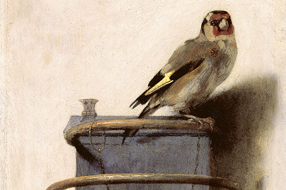 Painting Elegant Goldfinch Painting selling