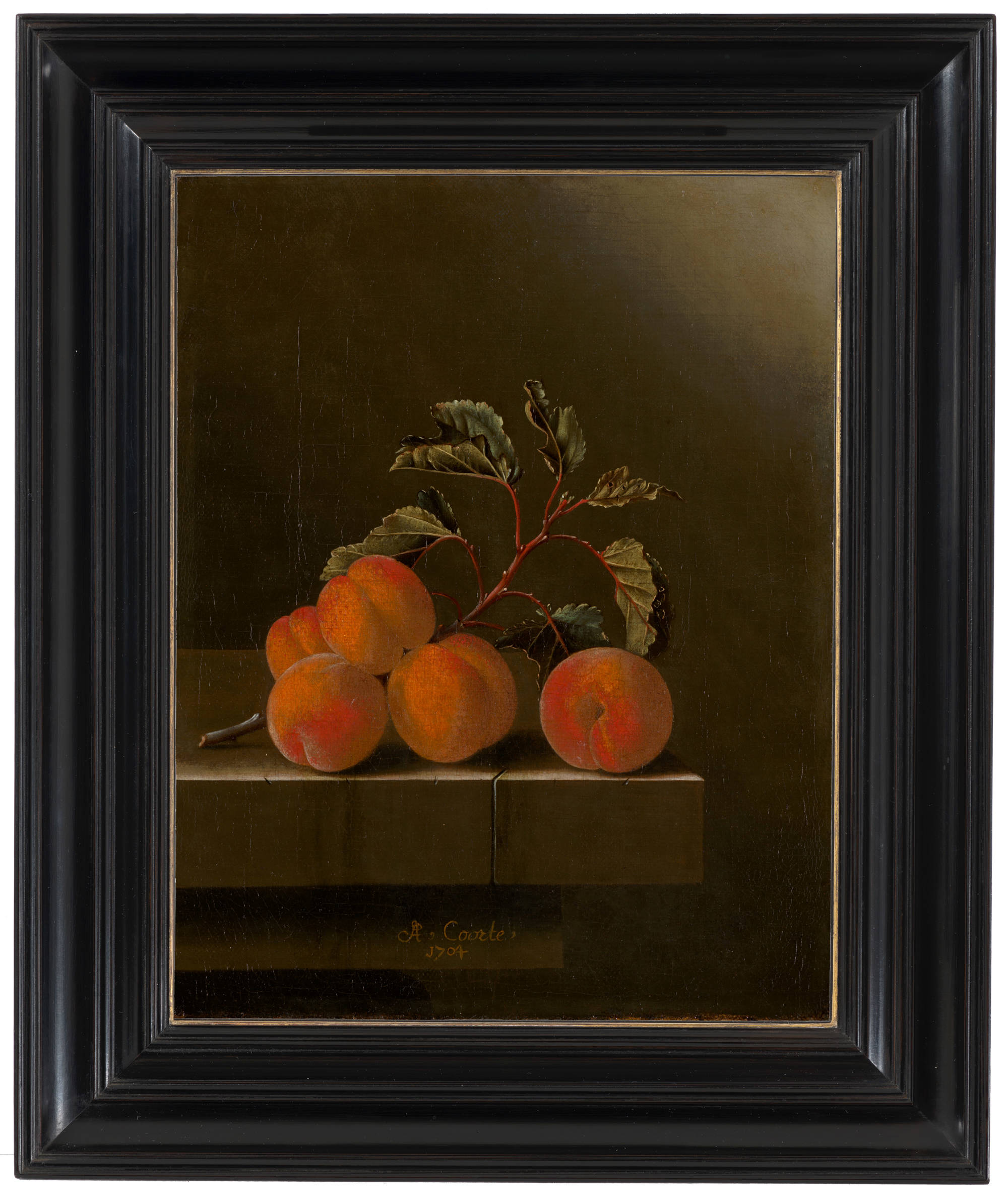 Adriaen Coorte  Stilleven met vijf abrikozen Still Life with Five Apricots