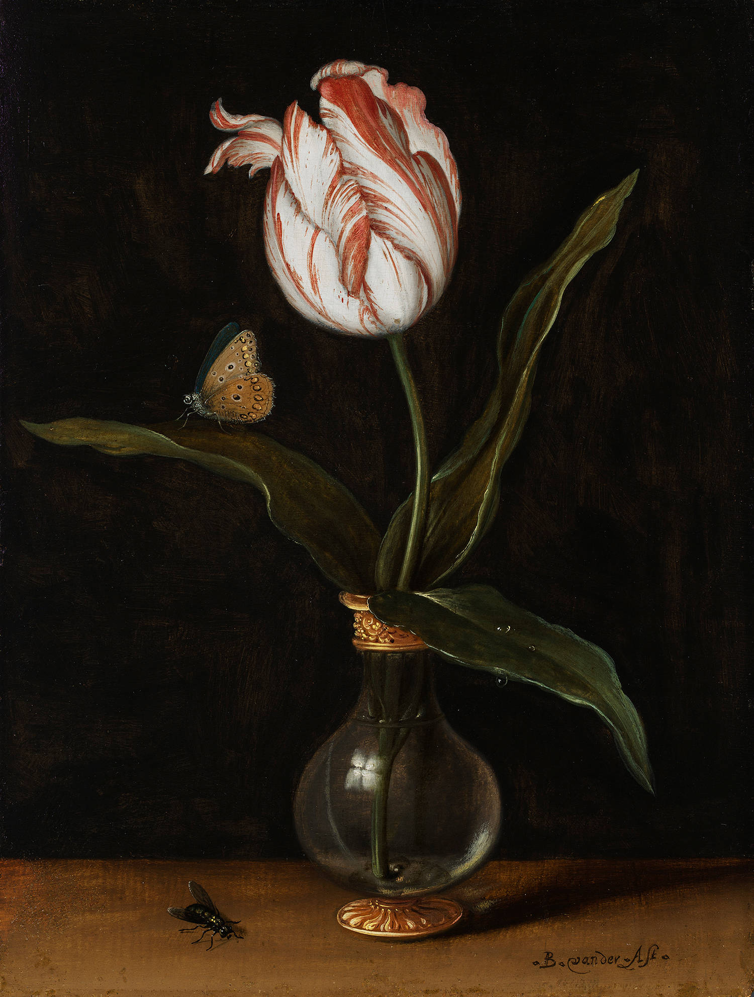 Schilderij Vaasje met een enkele tulp van Balthasar van der Ast in het Mauritshuis